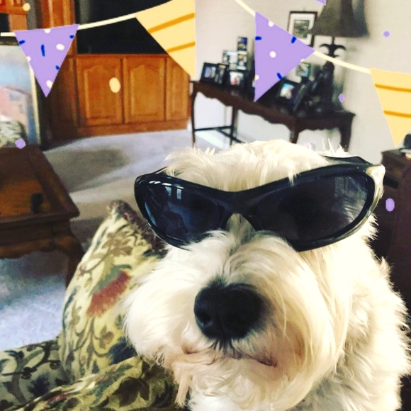 Meet your Posher, Vivienne - Picture 1 of 1